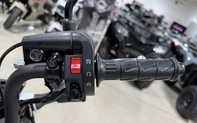 2026 Kawasaki Z125 PRO