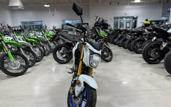 2026 Kawasaki Z125 PRO
