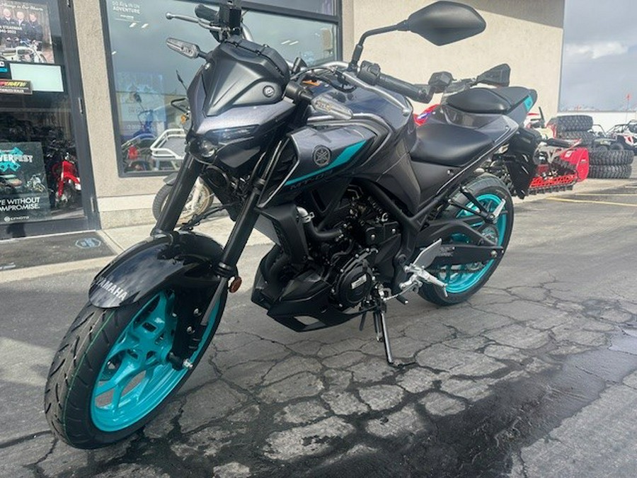 2024 Yamaha MT 03