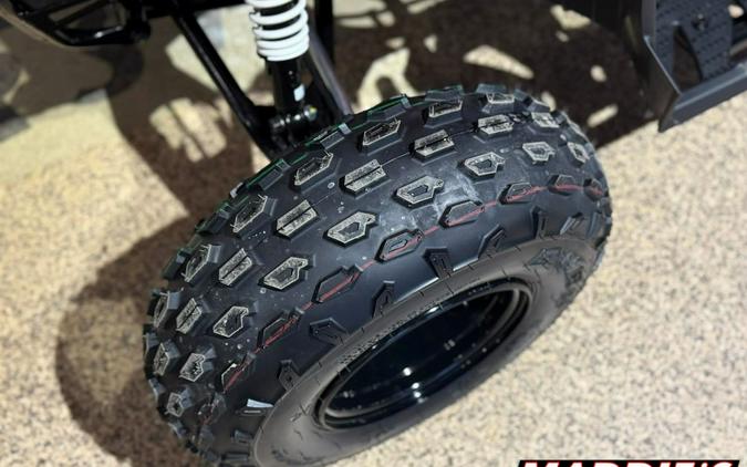 2026 Polaris Outlaw 110 EFI