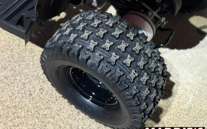 2026 Polaris Outlaw 110 EFI
