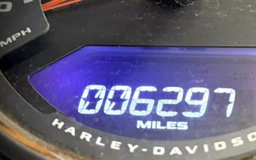 2019 Harley-Davidson Fat Boy® 114