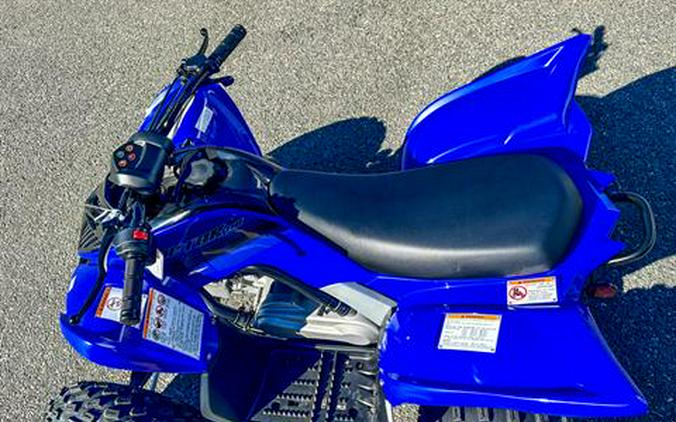 2024 Yamaha Raptor 110