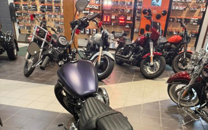 2025 Harley-Davidson Street bob