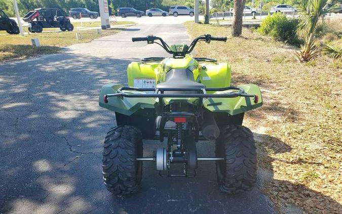 2026 Yamaha Grizzly 110