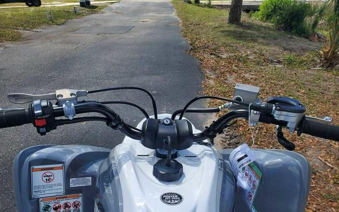 2026 Yamaha Raptor 700