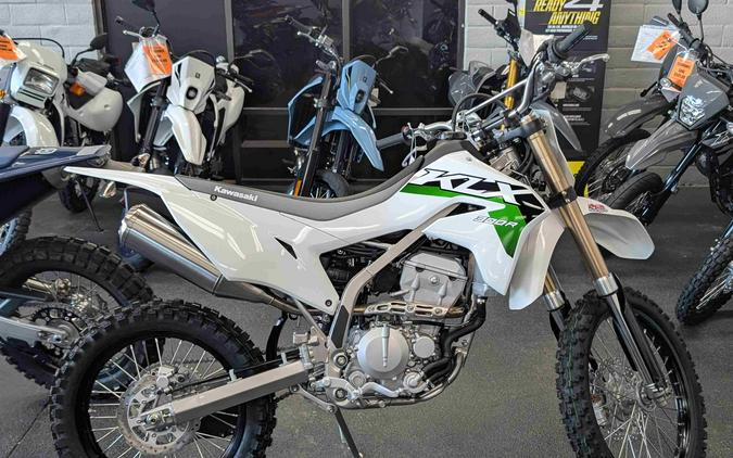 2026 Kawasaki KLX 300R Bright White