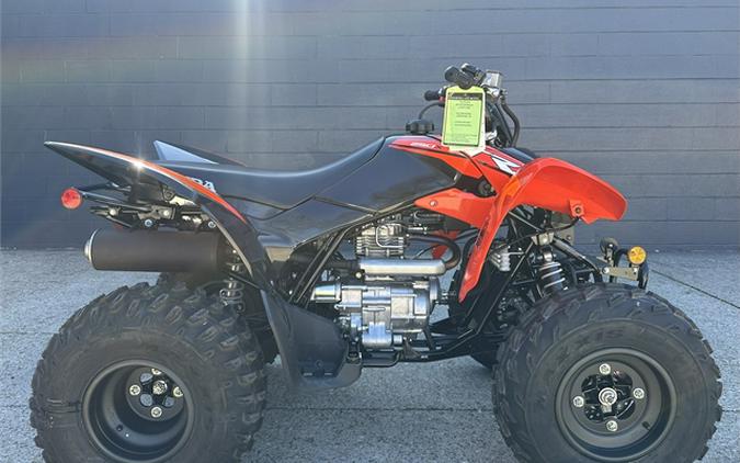 2024 Honda TRX250X