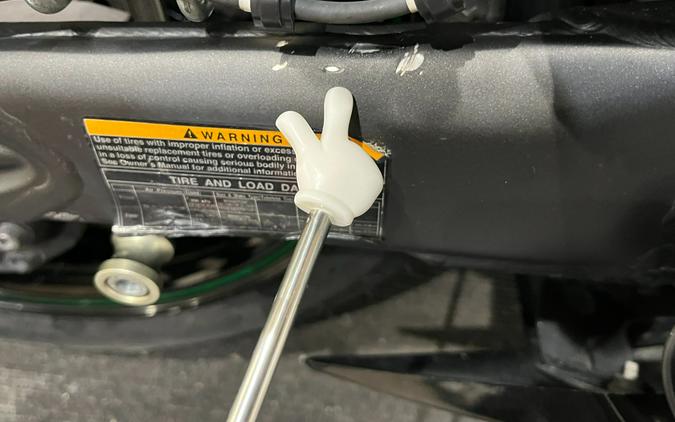 2019 Kawasaki Ninja ZX-14R