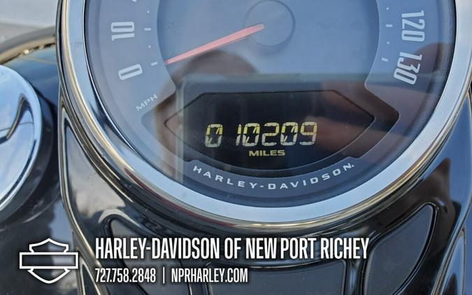 2020 Harley-Davidson® Heritage Classic 114