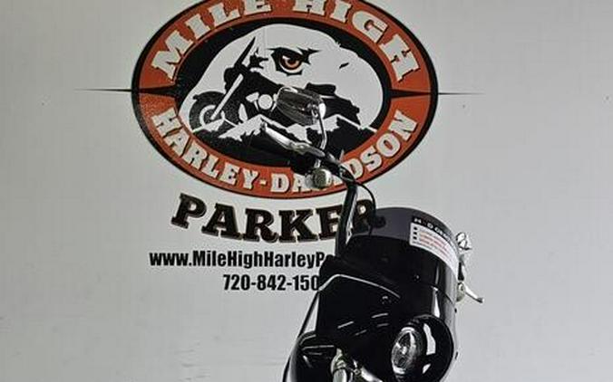 FXST 2020 Softail Standard