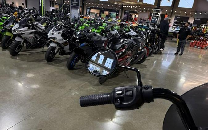 2016 Indian Motorcycle® Chief® Dark Horse