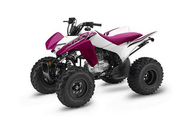 2023 Honda TRX250X