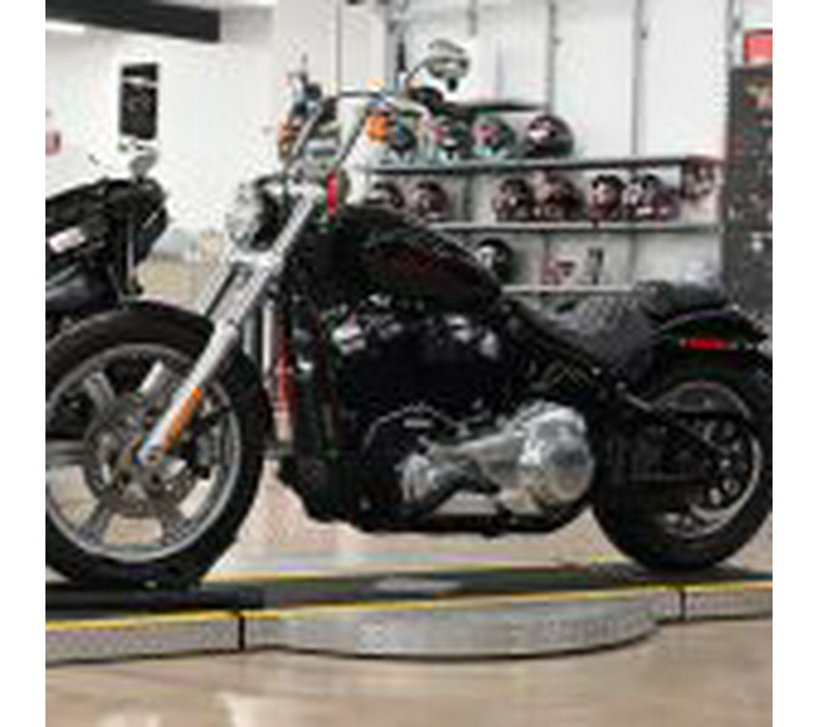 2024 Harley Davidson Softail Standard
