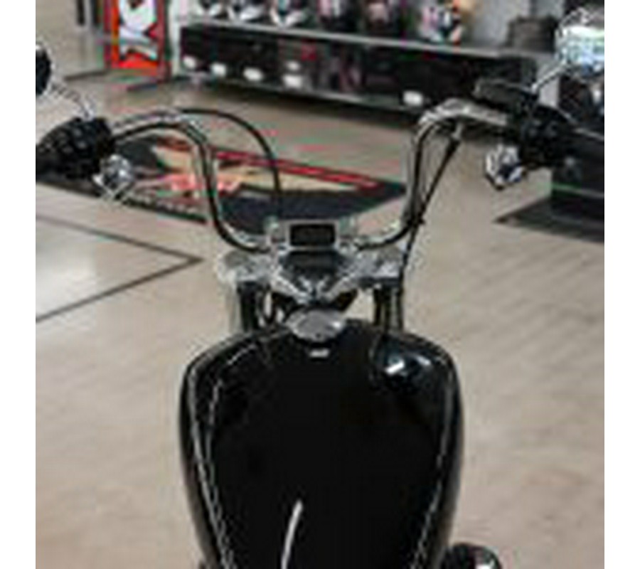 2024 Harley Davidson Softail Standard