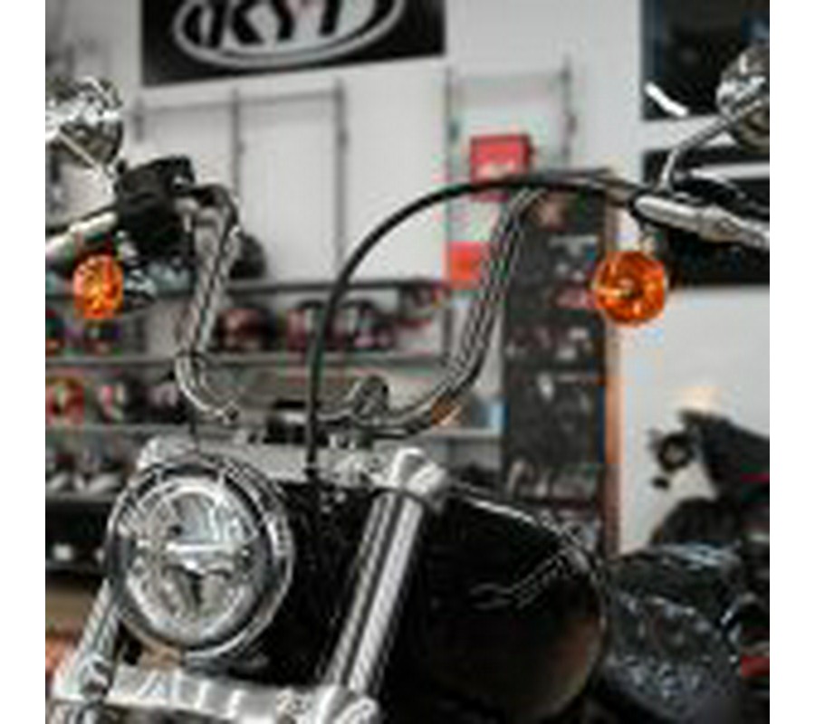 2024 Harley Davidson Softail Standard