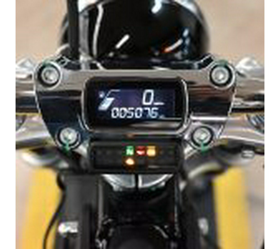 2024 Harley Davidson Softail Standard