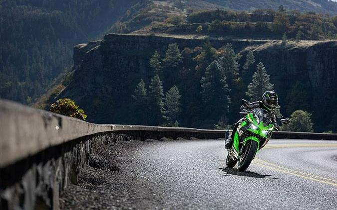 2025 Kawasaki Ninja® 500 KRT Edition