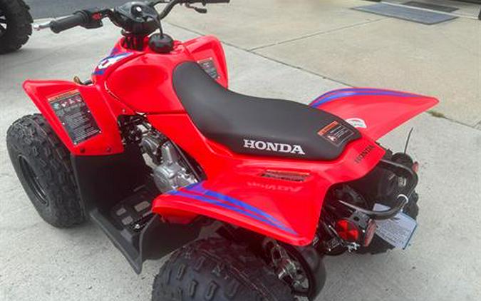 2024 Honda TRX90X