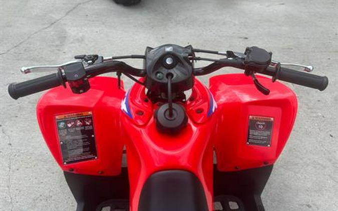 2024 Honda TRX90X