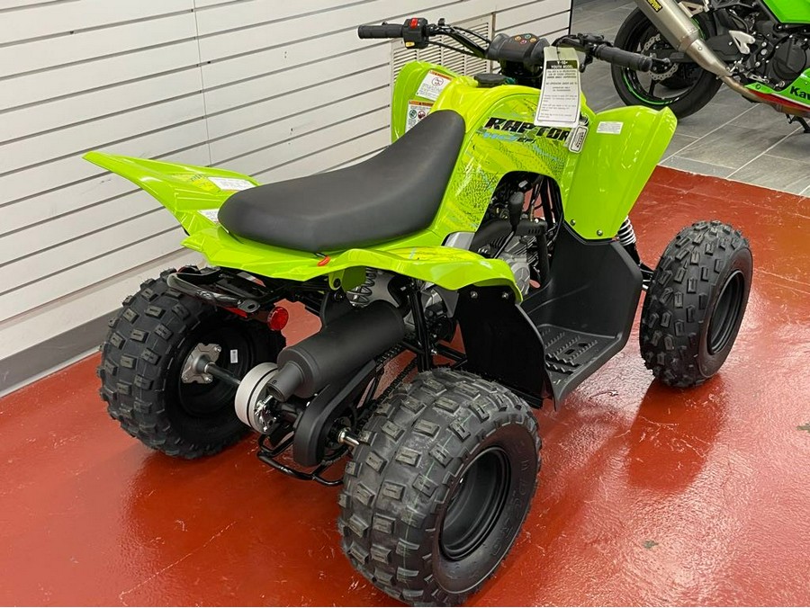 2026 Yamaha RAPTOR 110