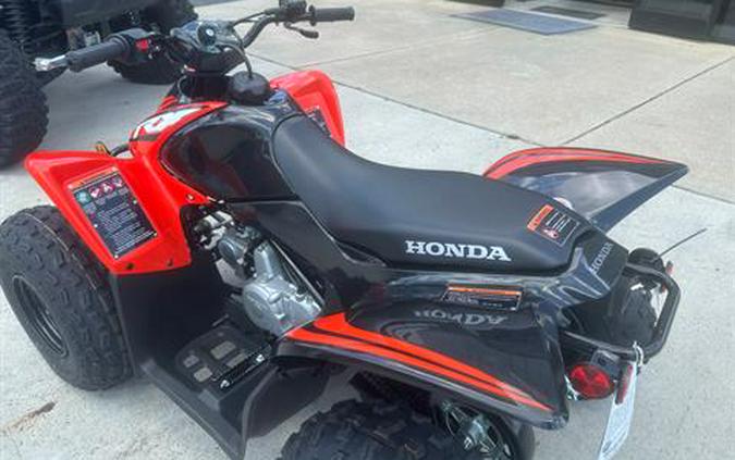 2024 Honda TRX90X