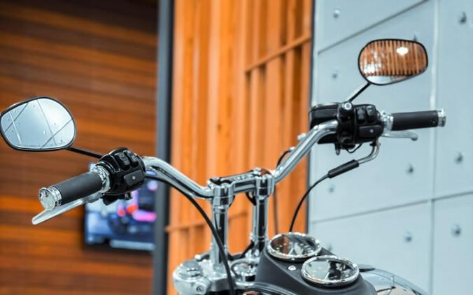 2017 Harley-Davidson® Low Rider®