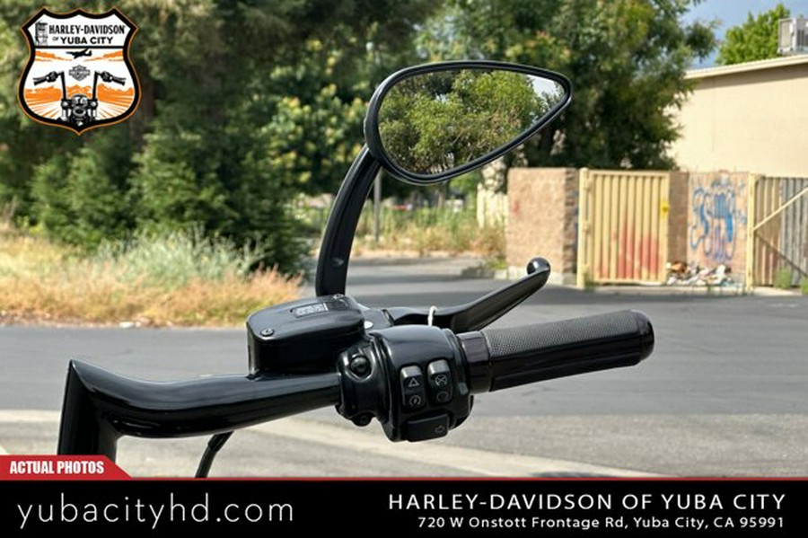 2017 Harley-Davidson FLS