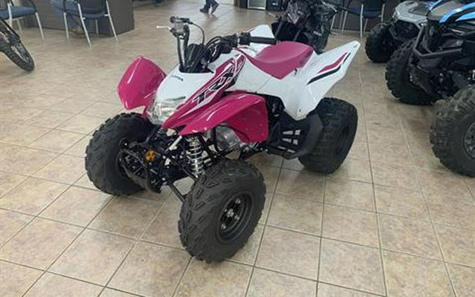 2023 Honda TRX250X