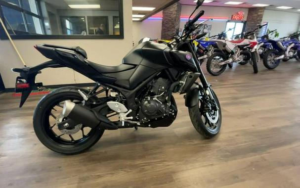 2026 Yamaha MT-03