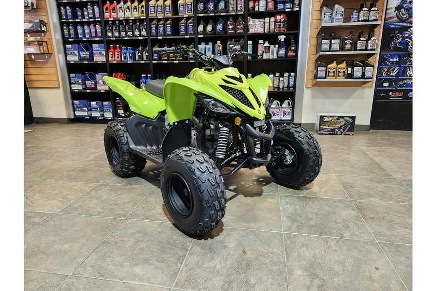 2026 Raptor 110 - Yamaha