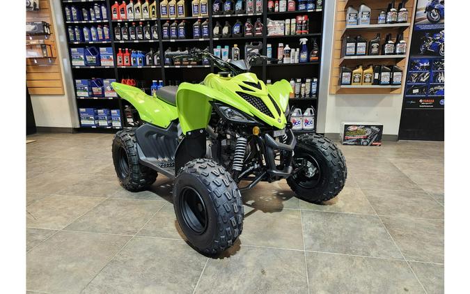 2026 Raptor 110 - Yamaha