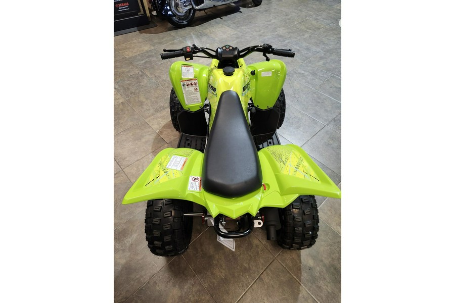 2026 Raptor 110 - Yamaha