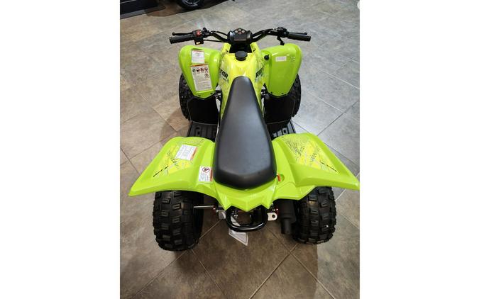 2026 Raptor 110 - Yamaha