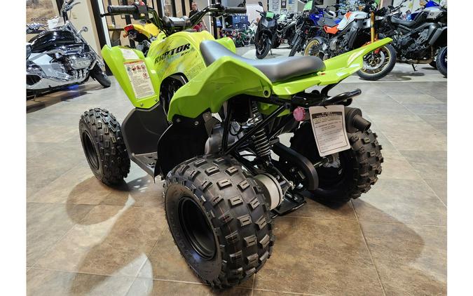 2026 Raptor 110 - Yamaha