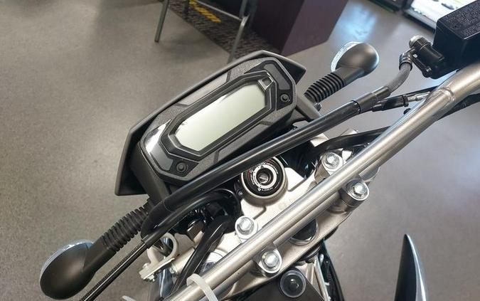 2024 Kawasaki KLX®230 S