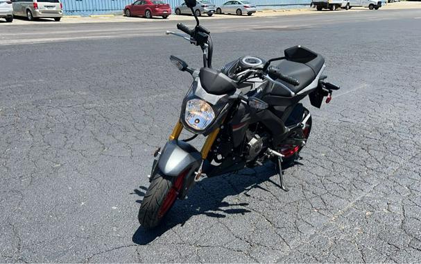 2024 Kawasaki Z125 PRO