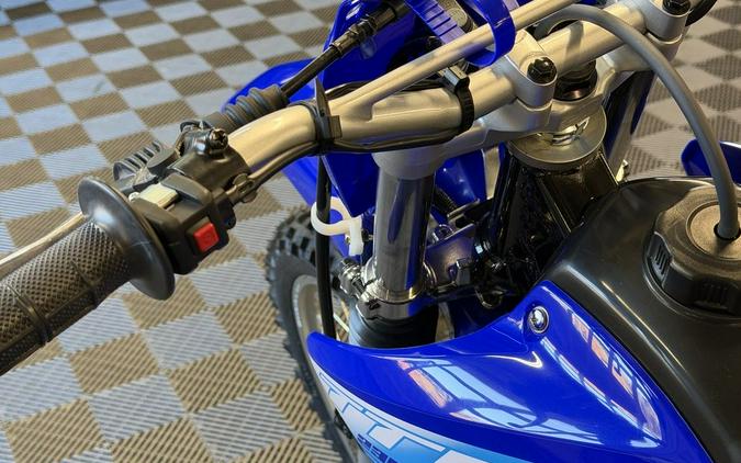 2027 Yamaha TT-R230