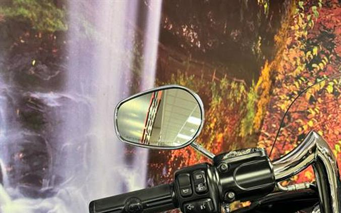 2015 Harley-Davidson Road Glide® Special