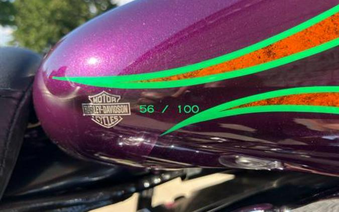 2004 Harley-Davidson FXSTD/FXSTDI Softail® Deuce™