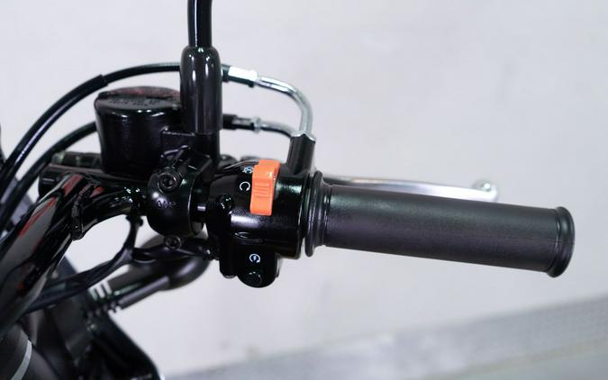 2019 Kawasaki W800 Cafe