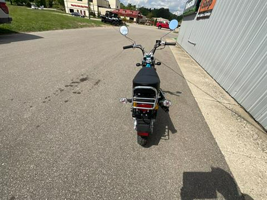 2025 ICEBEAR CHAMPION PBZ125-2