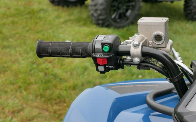 2025 Yamaha Grizzly EPS LTD