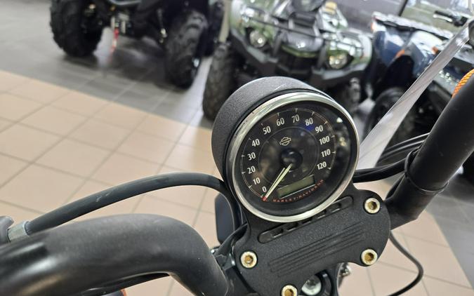 2019 HARLEY SPORTSTER IRON 883