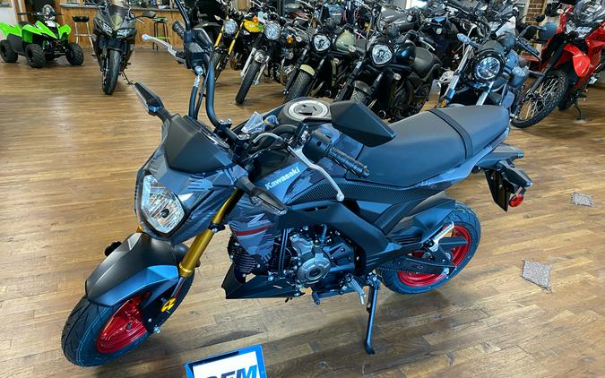 2024 Kawasaki Z125 Pro