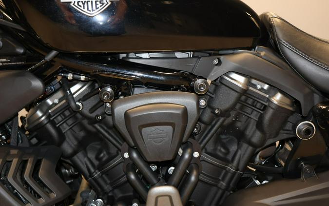 2024 Harley-Davidson Nightster RH975