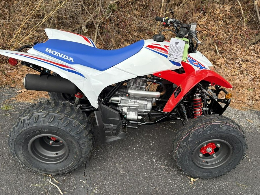 2026 Honda® TRX250X