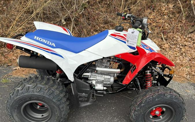 2026 Honda® TRX250X