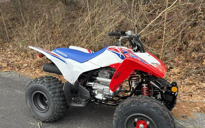 2026 Honda® TRX250X