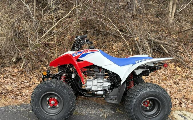2026 Honda® TRX250X